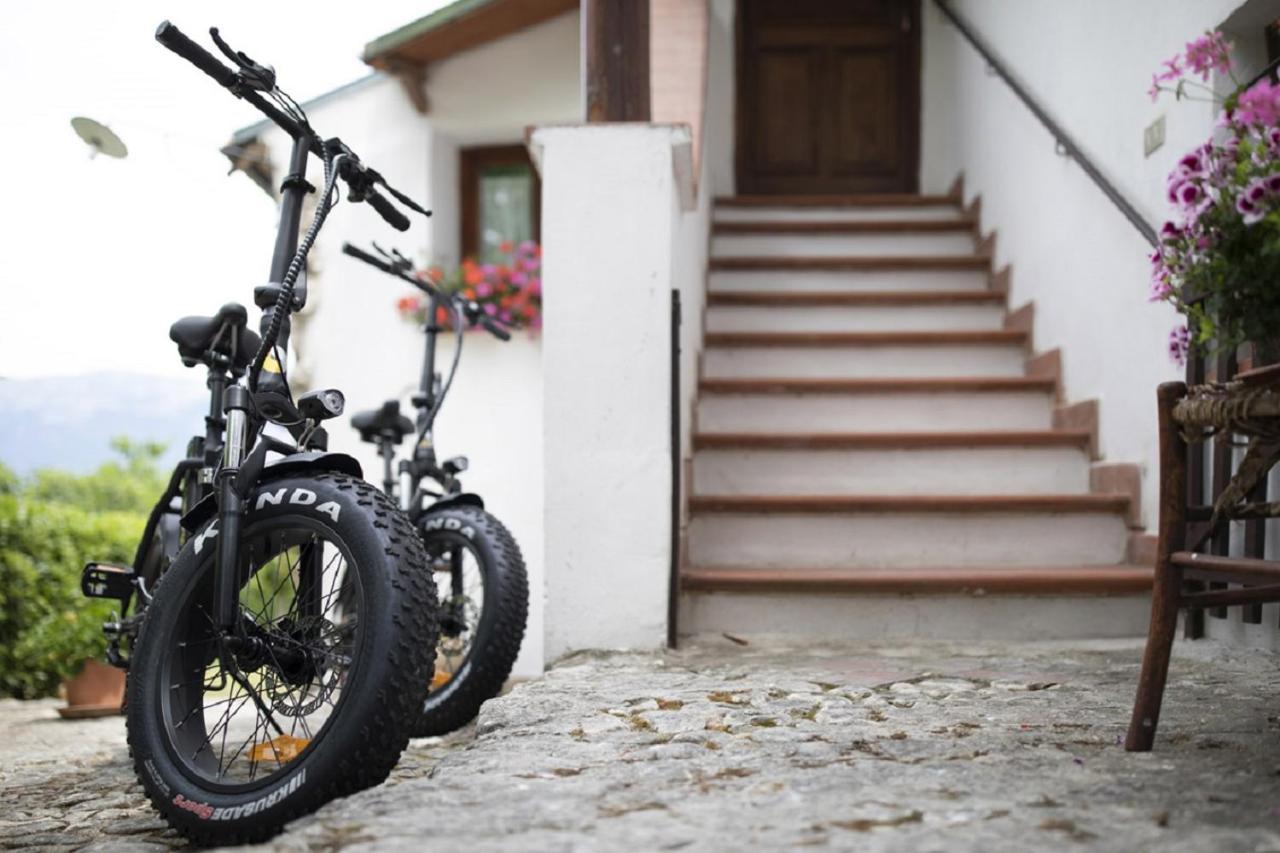 苏尔莫纳Il Ciavattone Bed And Bike住宿加早餐旅馆 外观 照片